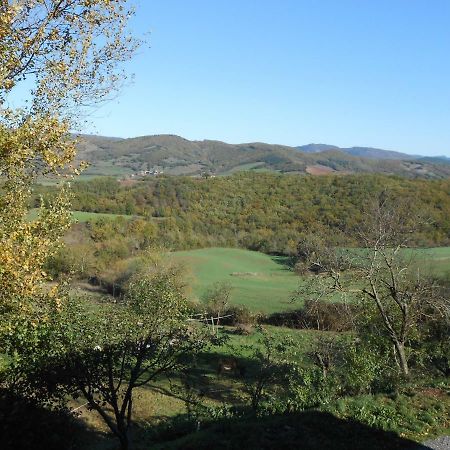 Chambre D'Hotes Des Monts Saint-Izaire Bagian luar foto
