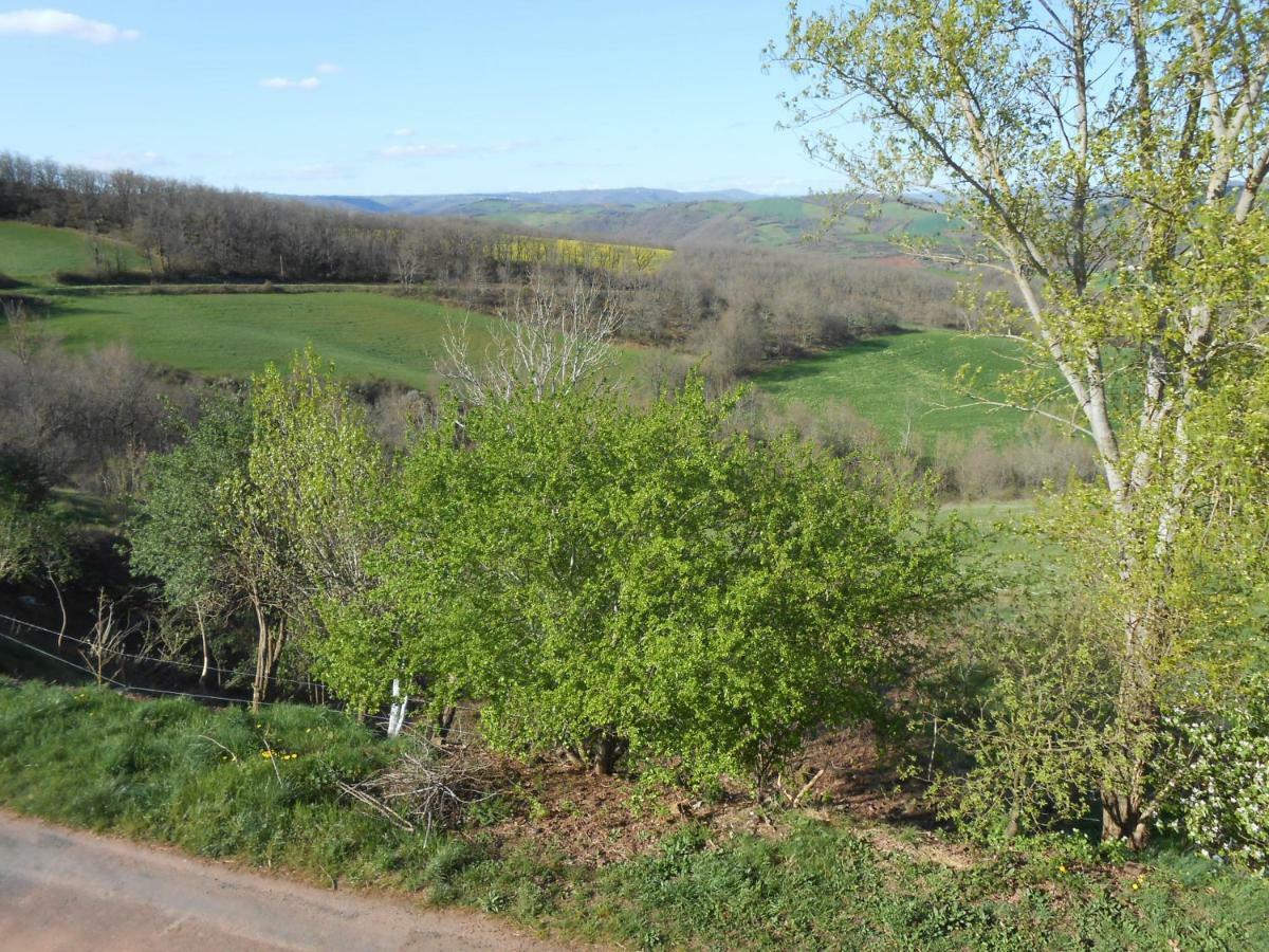 Chambre D'Hotes Des Monts Saint-Izaire Bagian luar foto